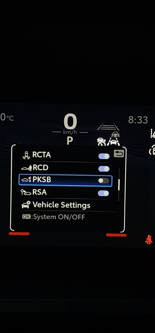 2024 Tacoma Bike rack that won’t interfere with backup cameras and sensors? 20240710_203315