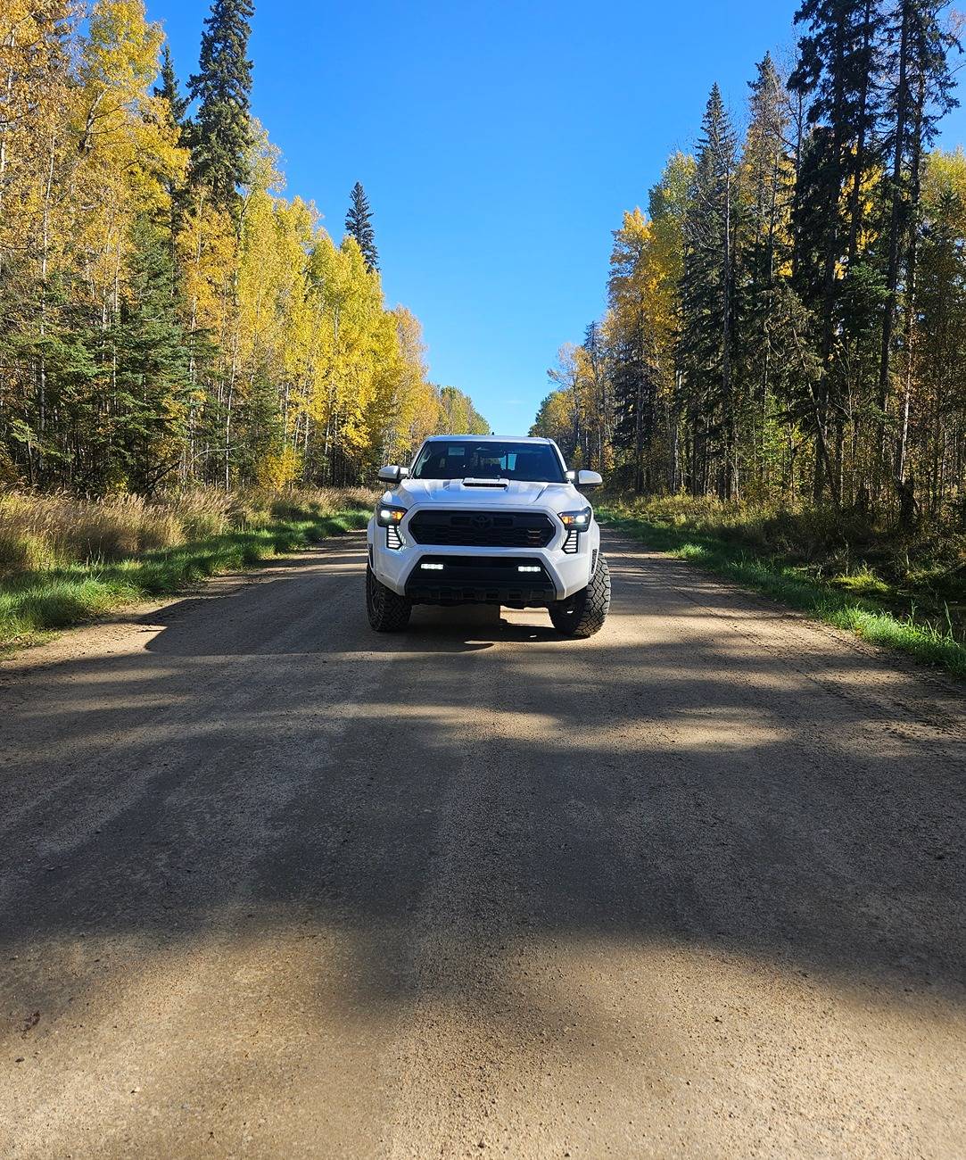 2024 Tacoma 10,000-mile update 2024 Tacoma TRD Sport 6MT. No Issues and going strong 20240928_125521