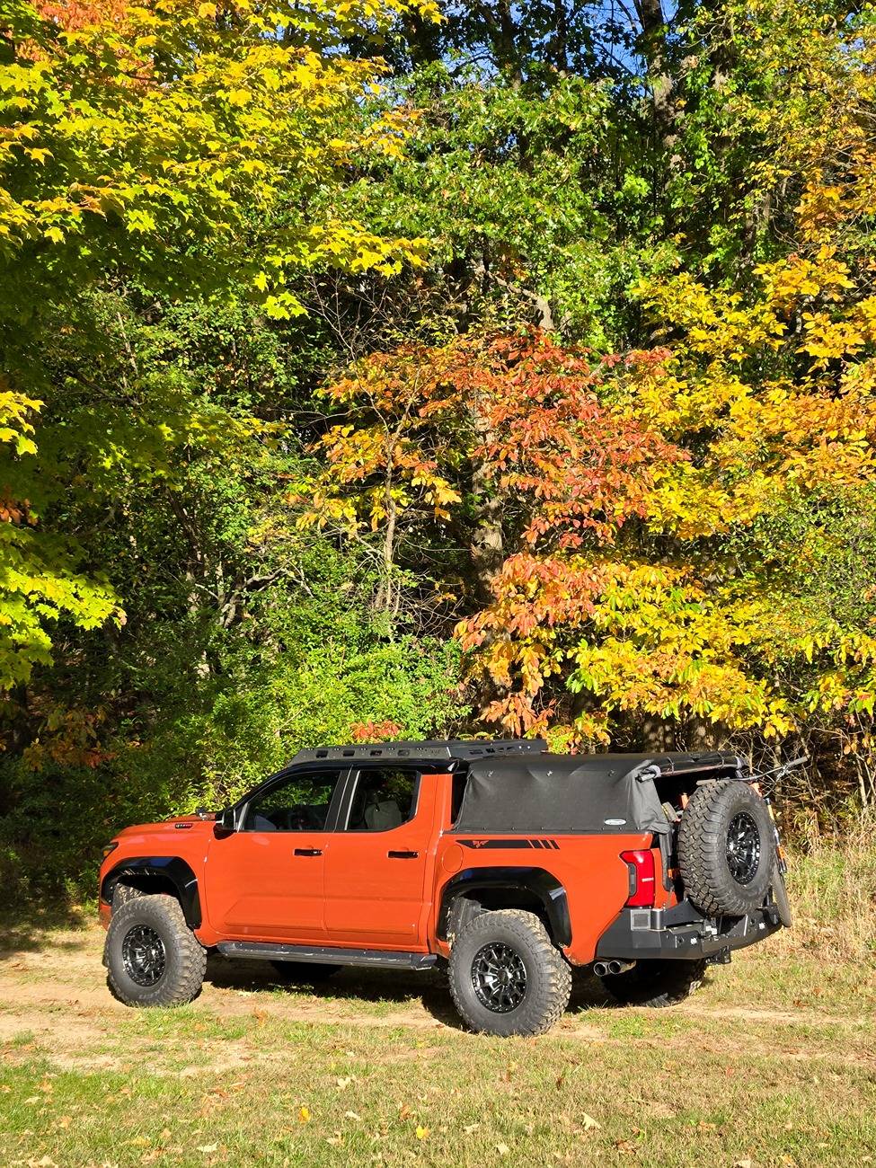 2024 Tacoma Old Man Emu Rear Lift Coils Springs (200 Series) installed on 4G Tacoma 20241016_170844