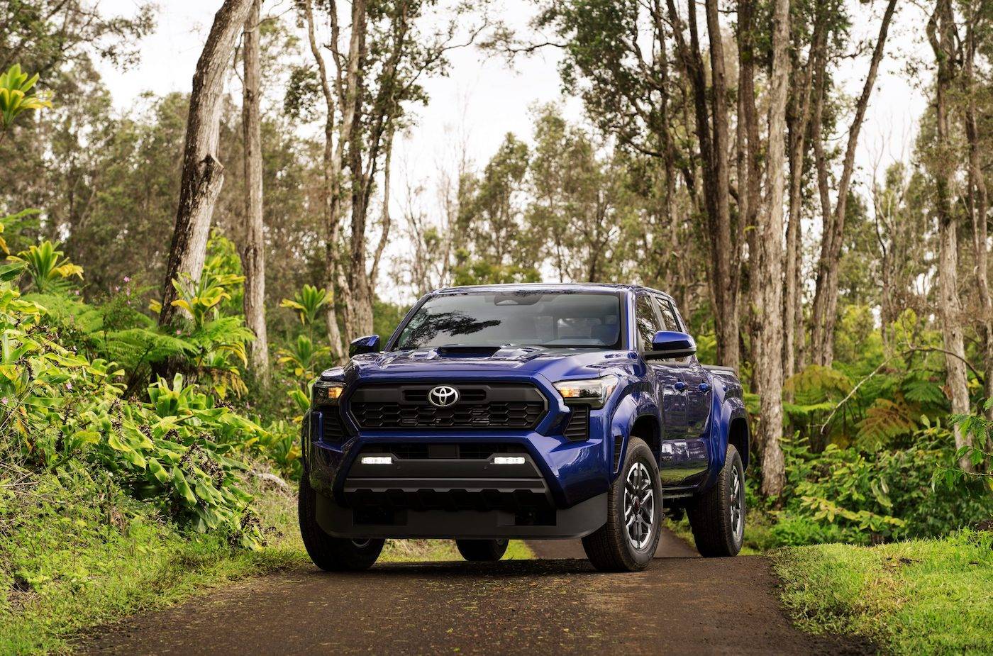 2024 Tacoma 2024 Tacoma TRD SPORT - Specs, Price (TBA), Features, Photos & Videos 2024_toyota_tacoma_trd_sport_003-scaled-