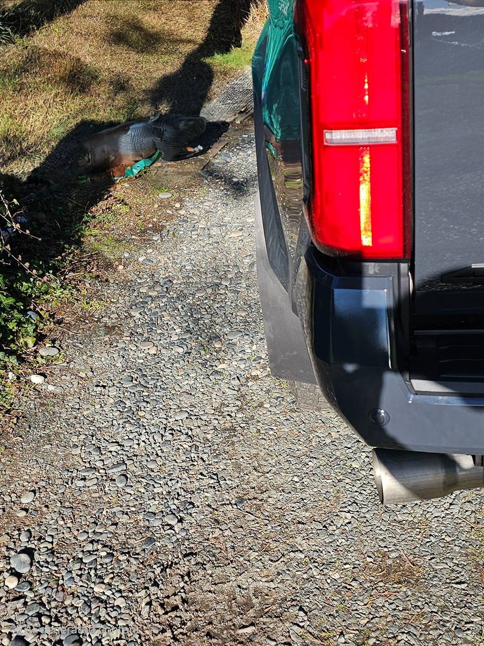 2024 Tacoma Best aftermarket mud flaps? 20250122_043126