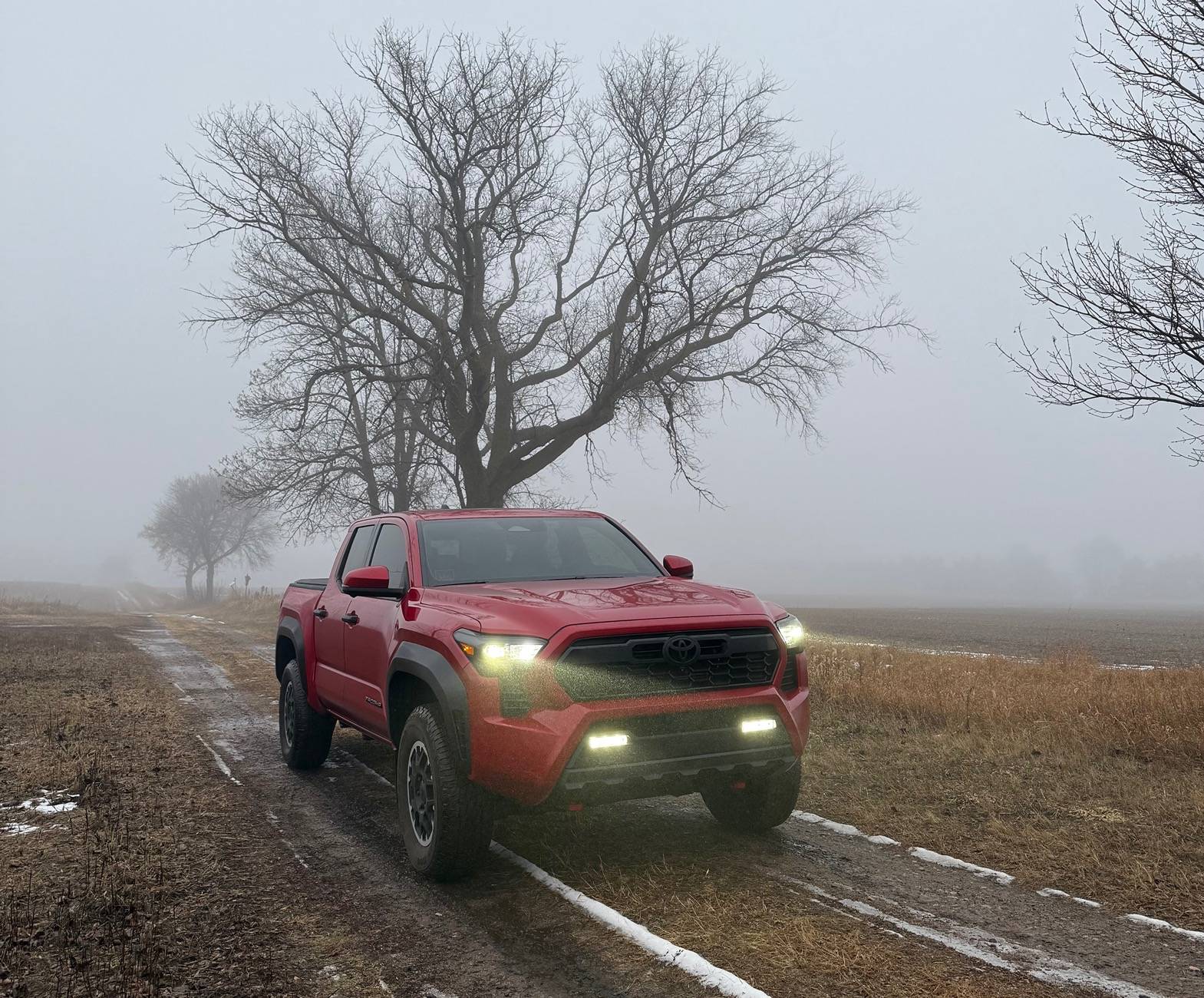 2024 Tacoma 4th Gen Tacoma quick guide now available! IMG_0061