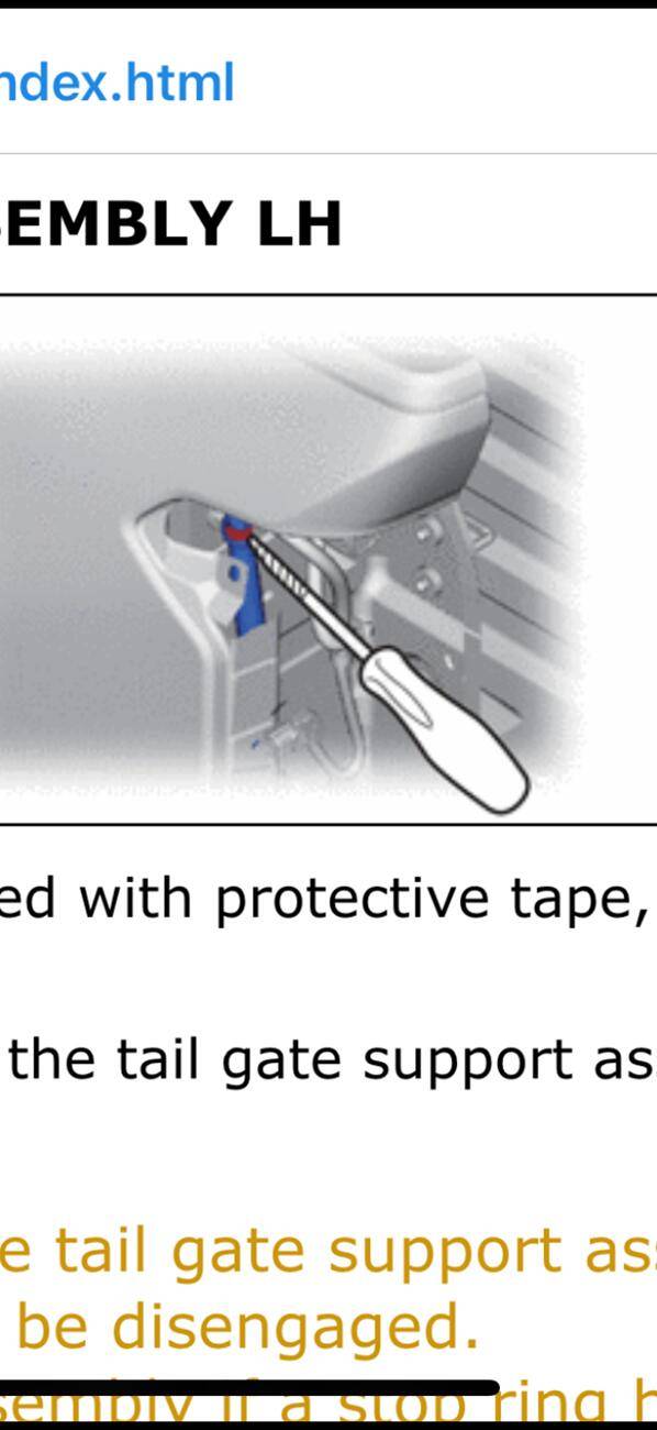 2024 Tacoma Tail Gate Assist (SR5) ? IMG_1342