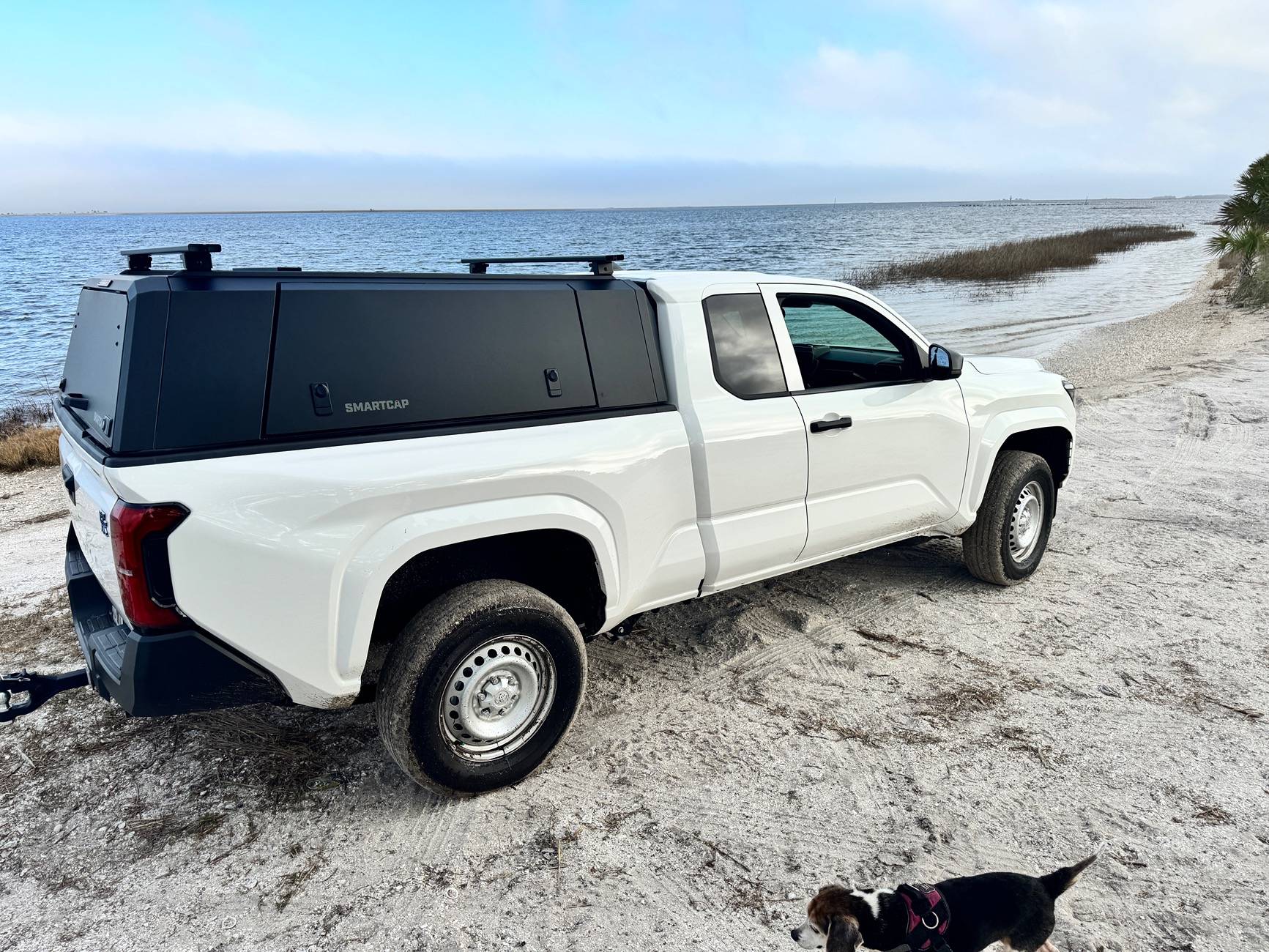 2024 Tacoma Taco on Gulf of America IMG_4138