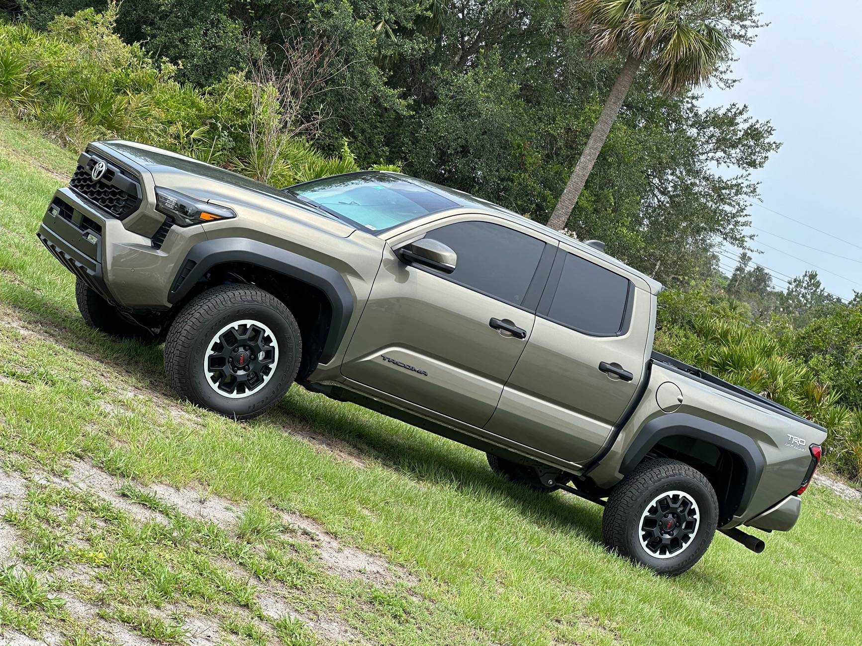 2024 Tacoma Where in Florida is everyone from?  Post your new Tacoma! IMG_4590