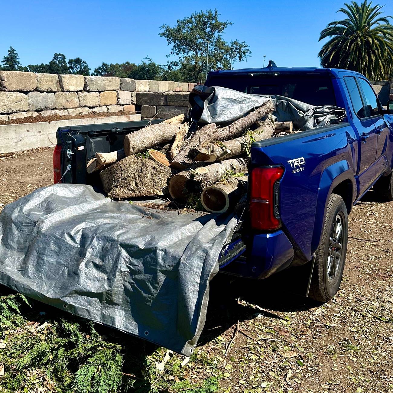 2024 Tacoma What have you hauled with your 4G Tacoma? Post em up! 🏋🏻‍♀️ IMG_5002