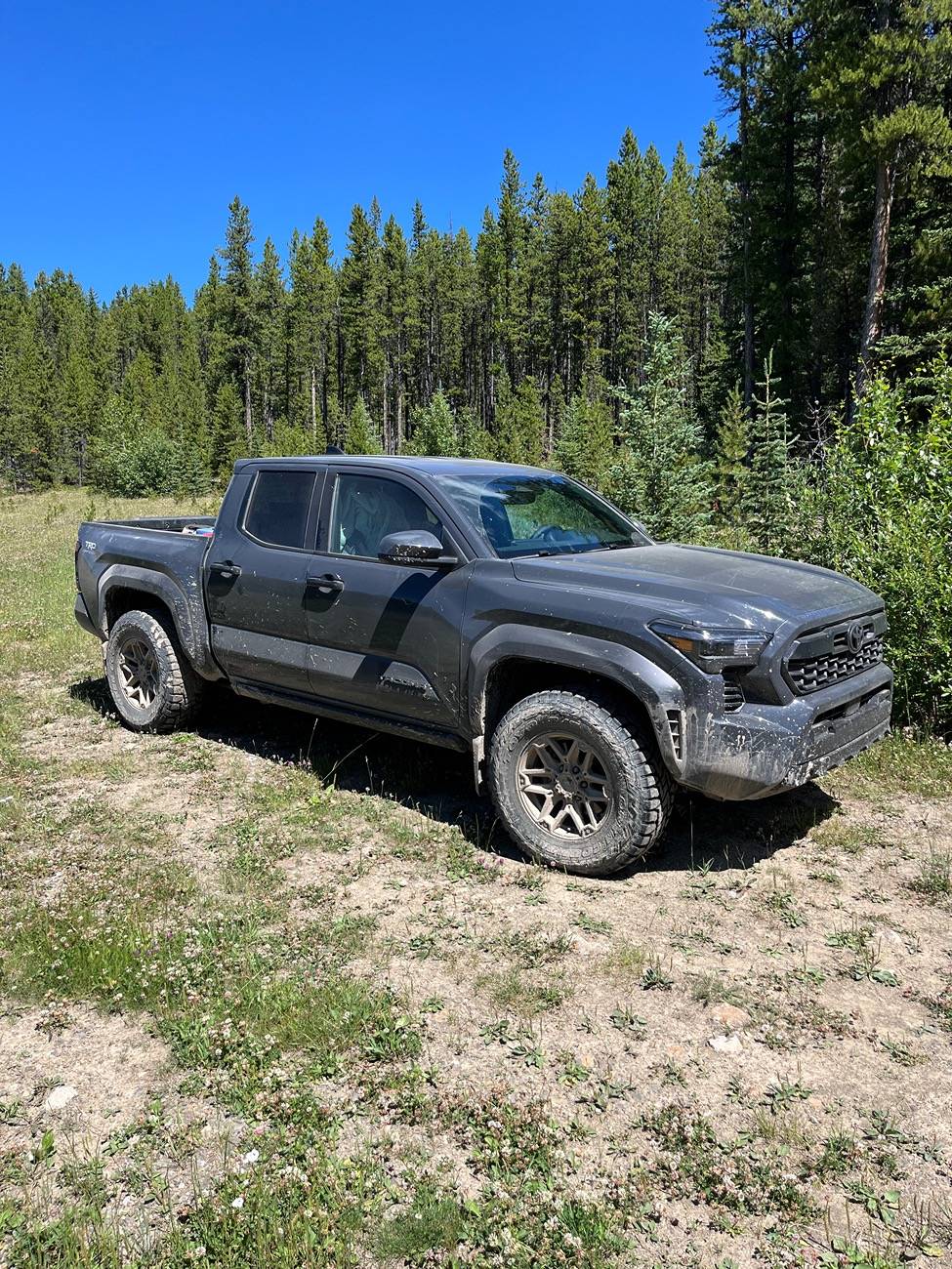 2024 Tacoma 265 vs 285’s on stock suspension IMG_9242