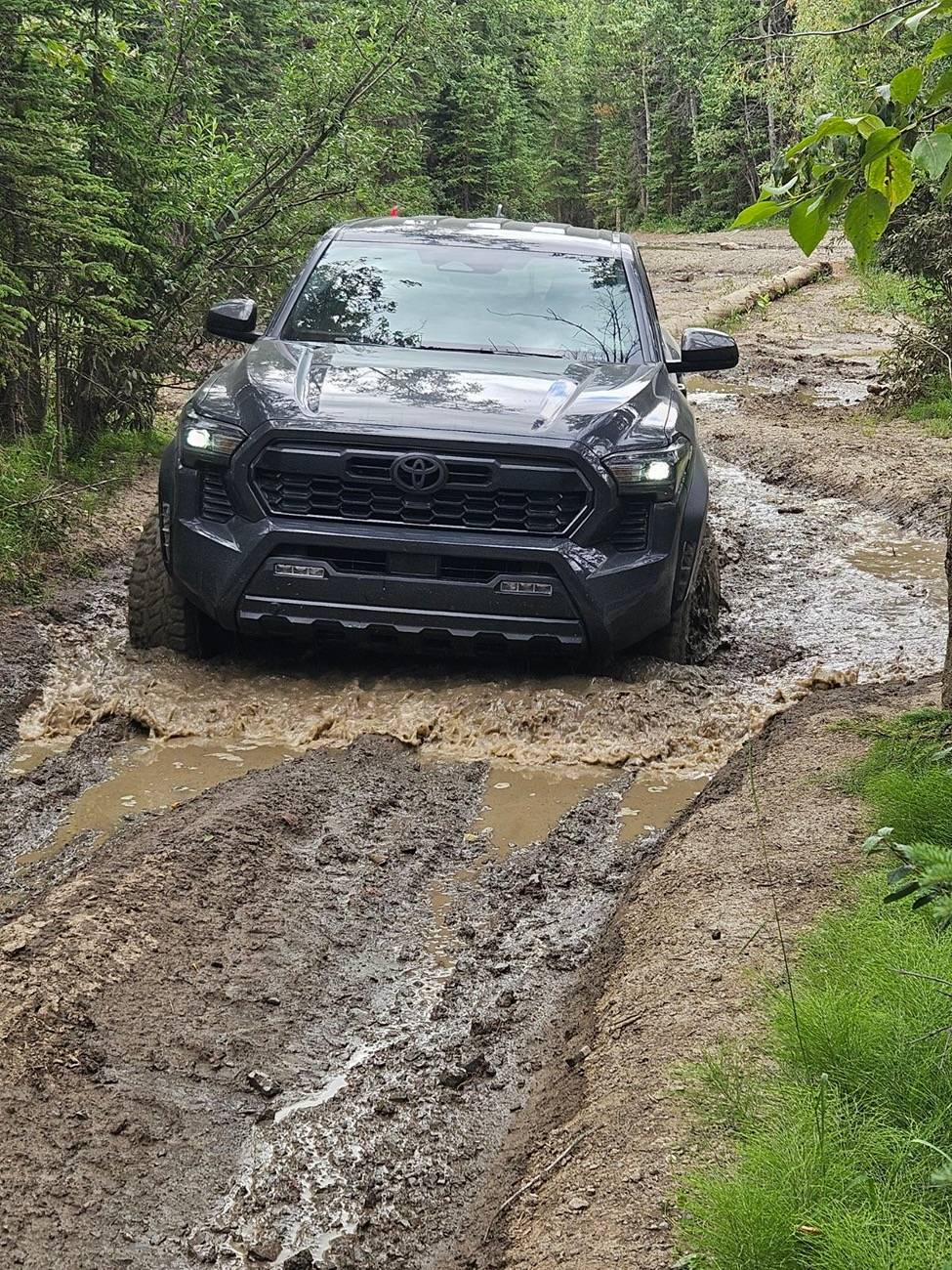 2024 Tacoma Q and A: 2024 Off-Road in Manual Transmission IMG_9320