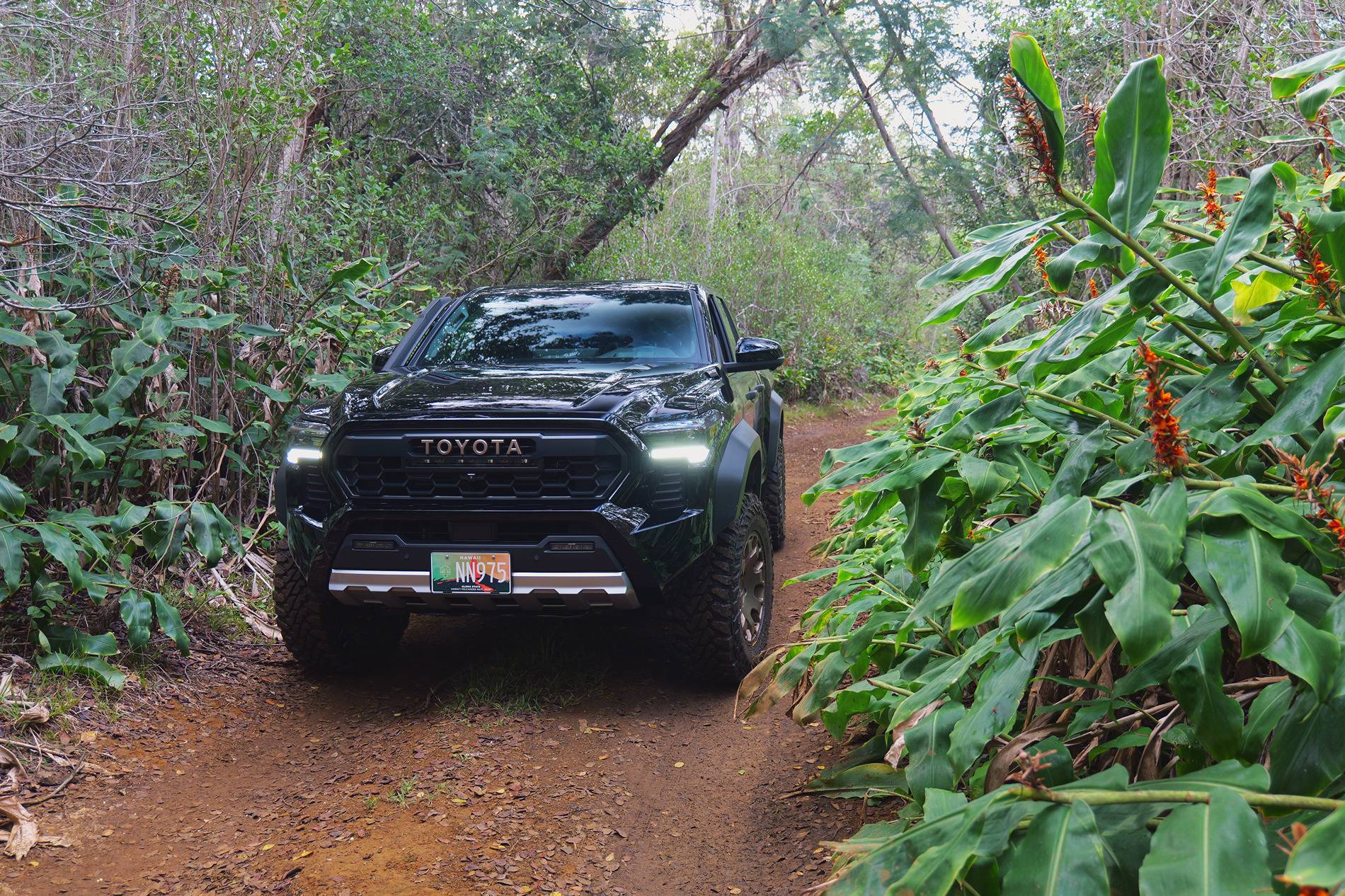 2024 Tacoma Back In Black P1011990.JPG