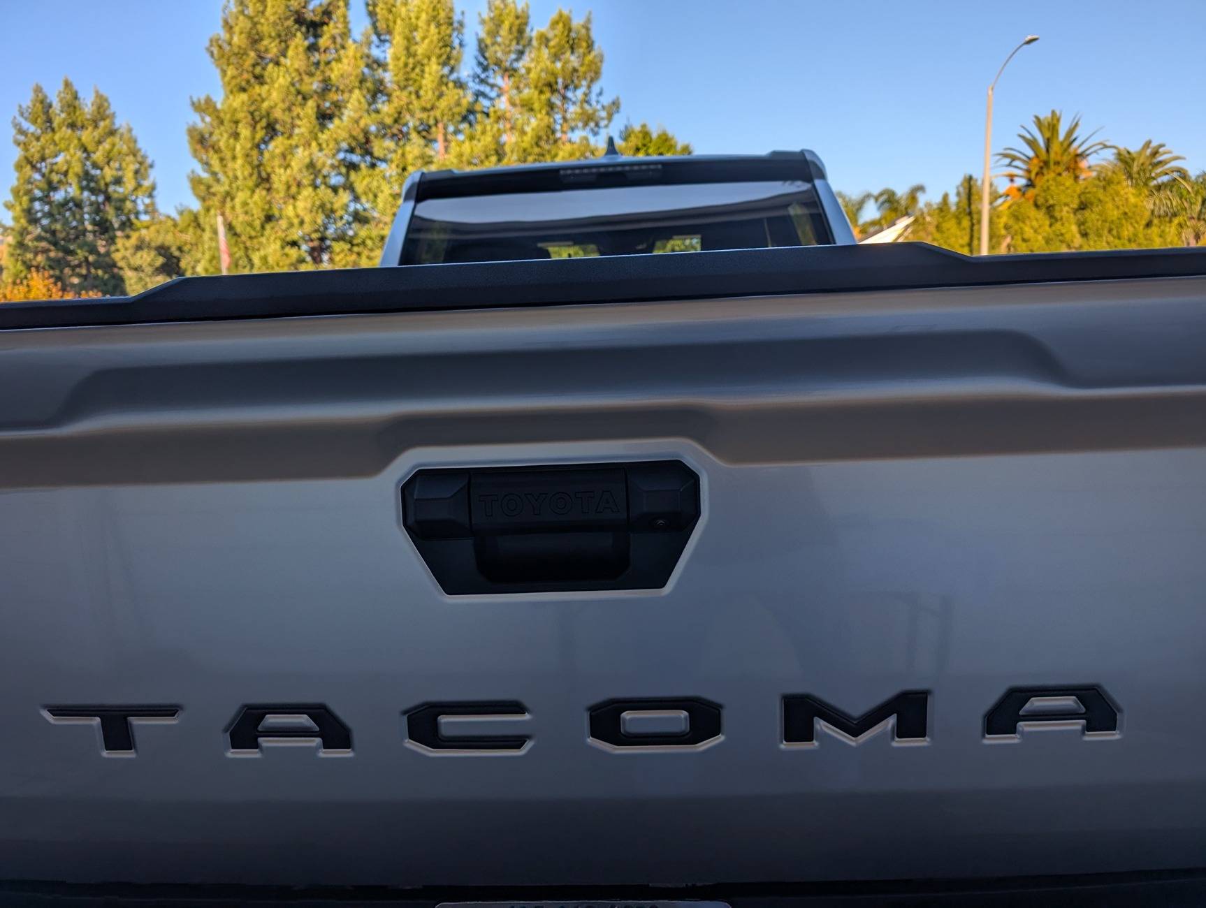 2024 Tacoma Tailgate Lettering Inserts - Show your colors PXL_20241127_231511062