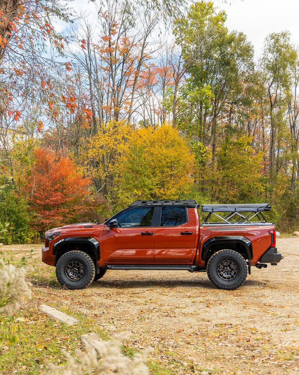 2024 Tacoma Old Man Emu Rear Lift Coils Springs (200 Series) installed on 4G Tacoma R6__1034