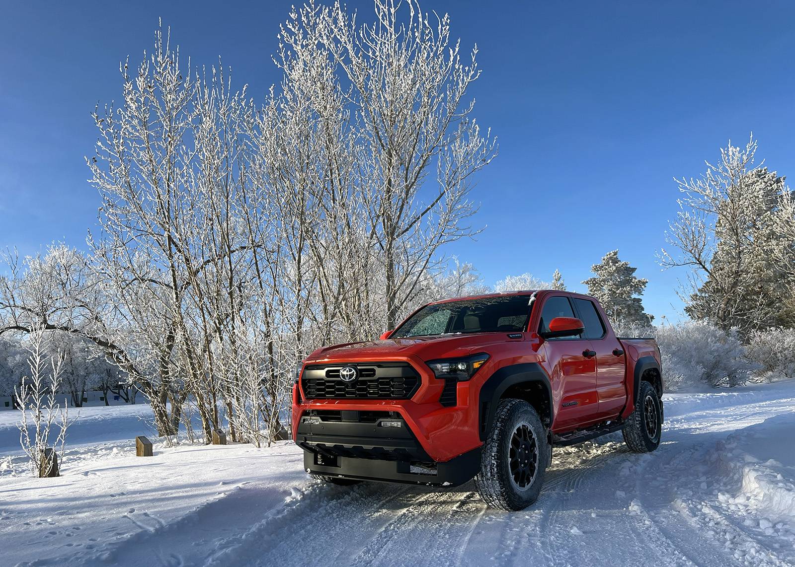 2024 Tacoma "Snow Tacos" USA & Canada Photos Thread SnowDayDec22