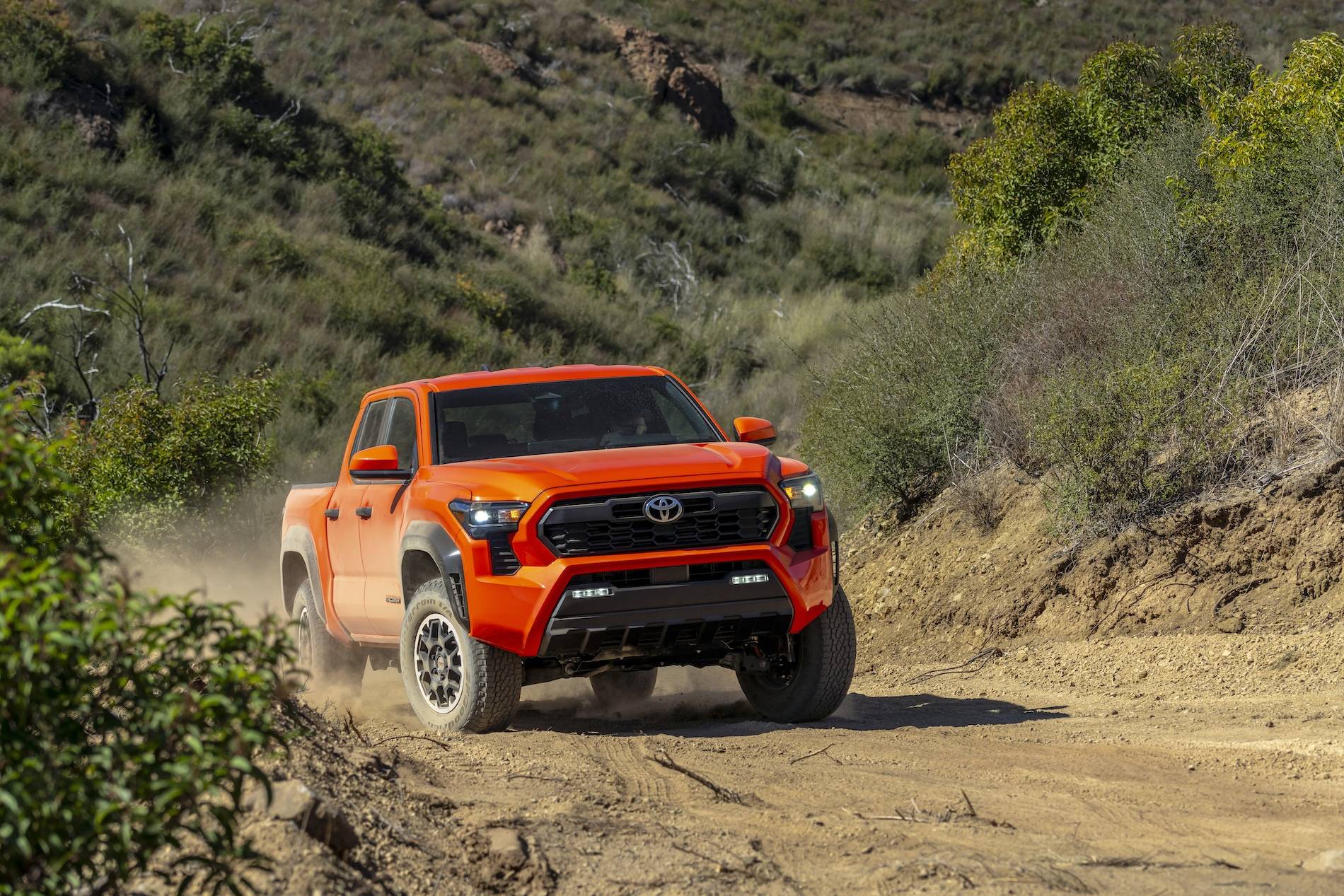 2024 Tacoma SOLAR OCTANE 2024 Tacoma Thread (4th Gen) Solar Octane 2024 Tacoma TRD Off-Road 2