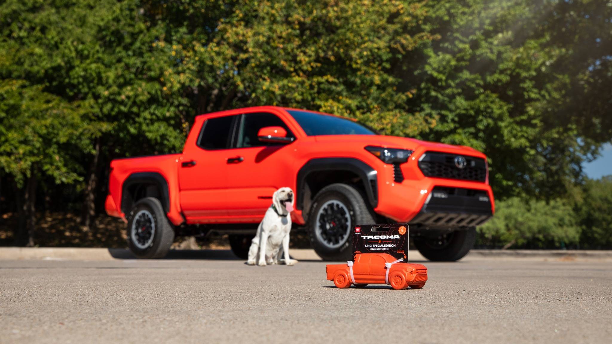 2024 Tacoma Solar Octane 2024 Tacoma Dog Chew Toy arriving for some lucky recipients t1-