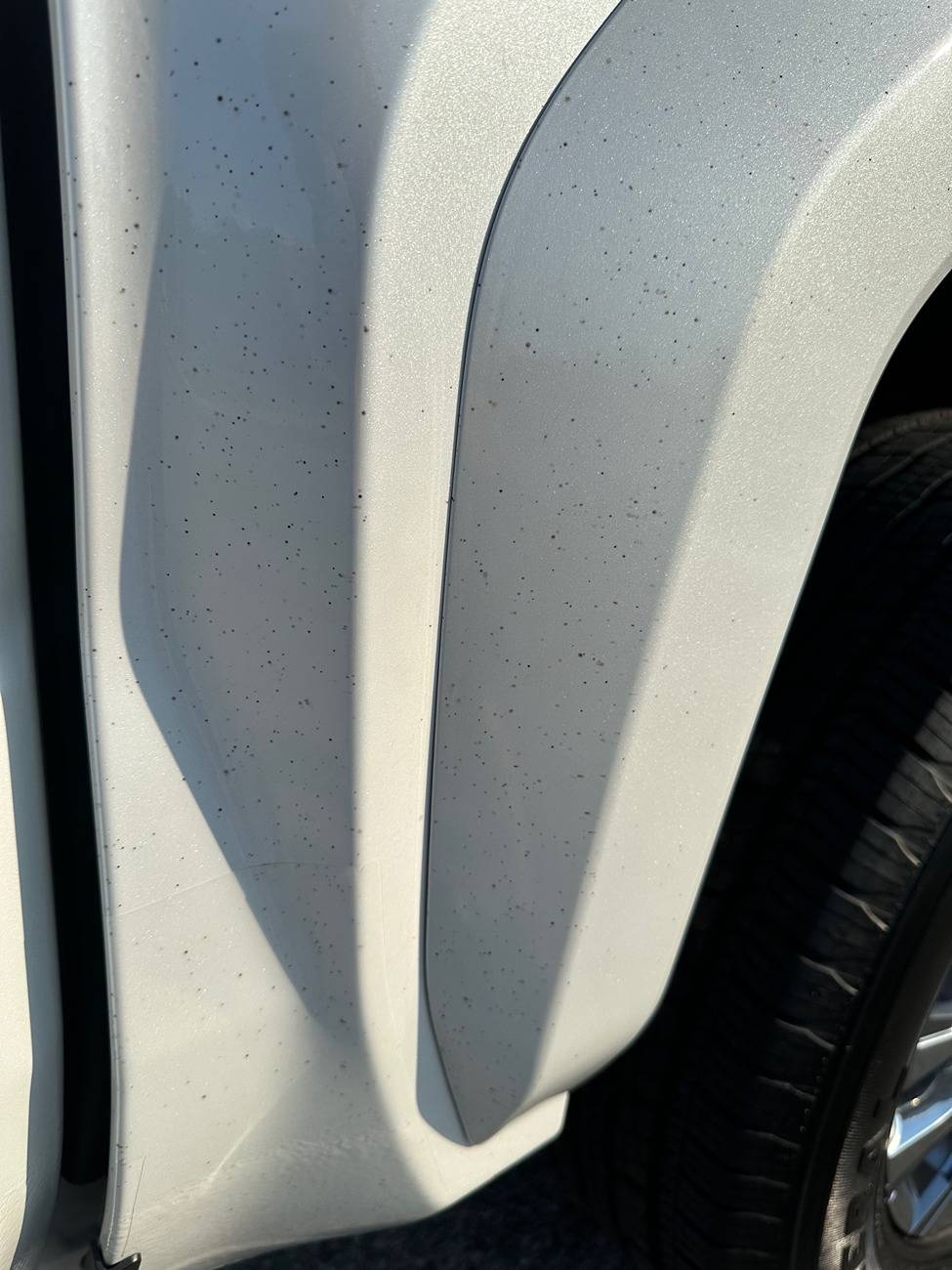 2024 Tacoma Mud flaps TacomaDirtRearPanel