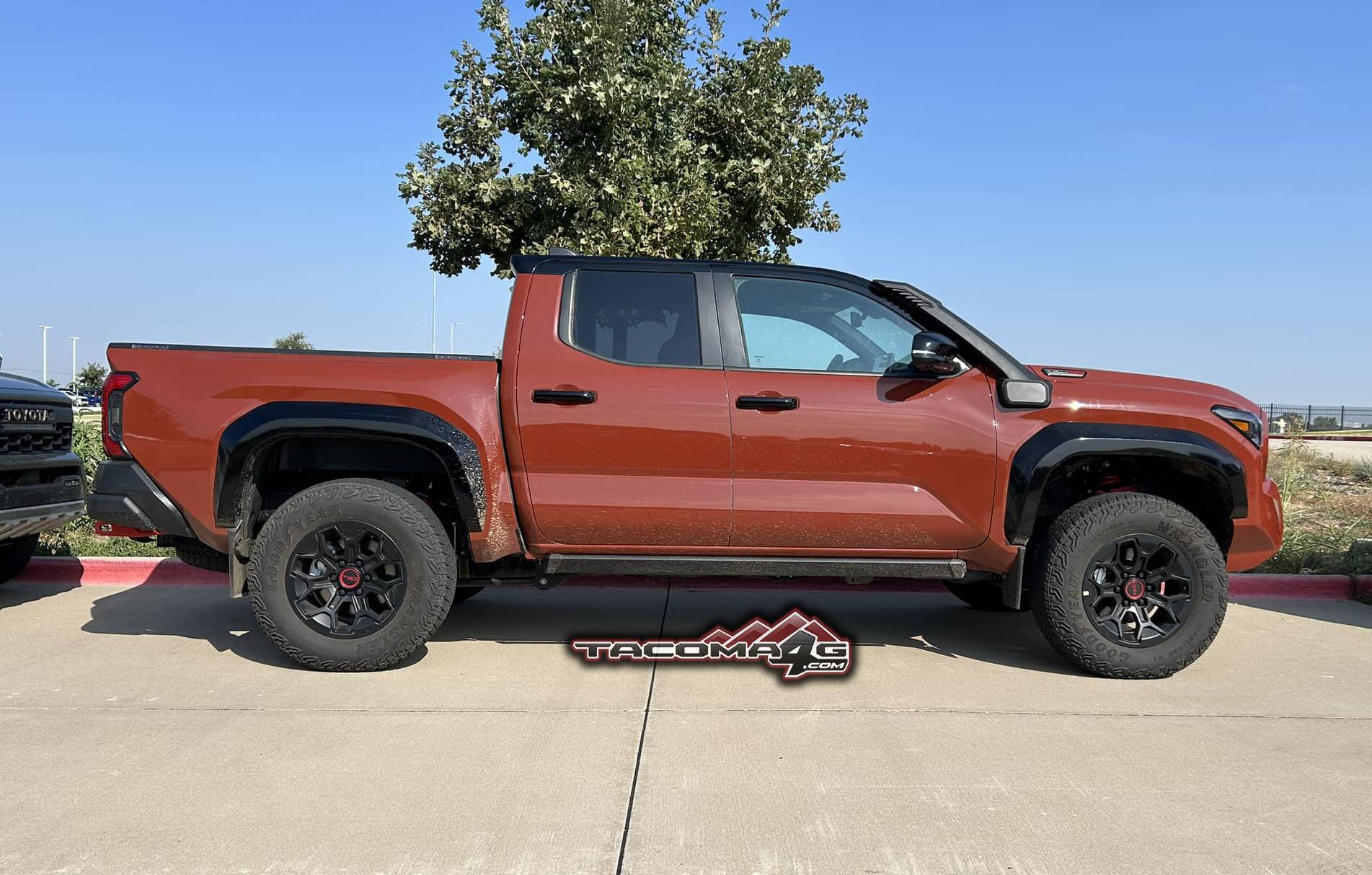 2024 Tacoma TERRA 2024 Tacoma Thread (4th Gen) terra 2024 tacoma trd pro