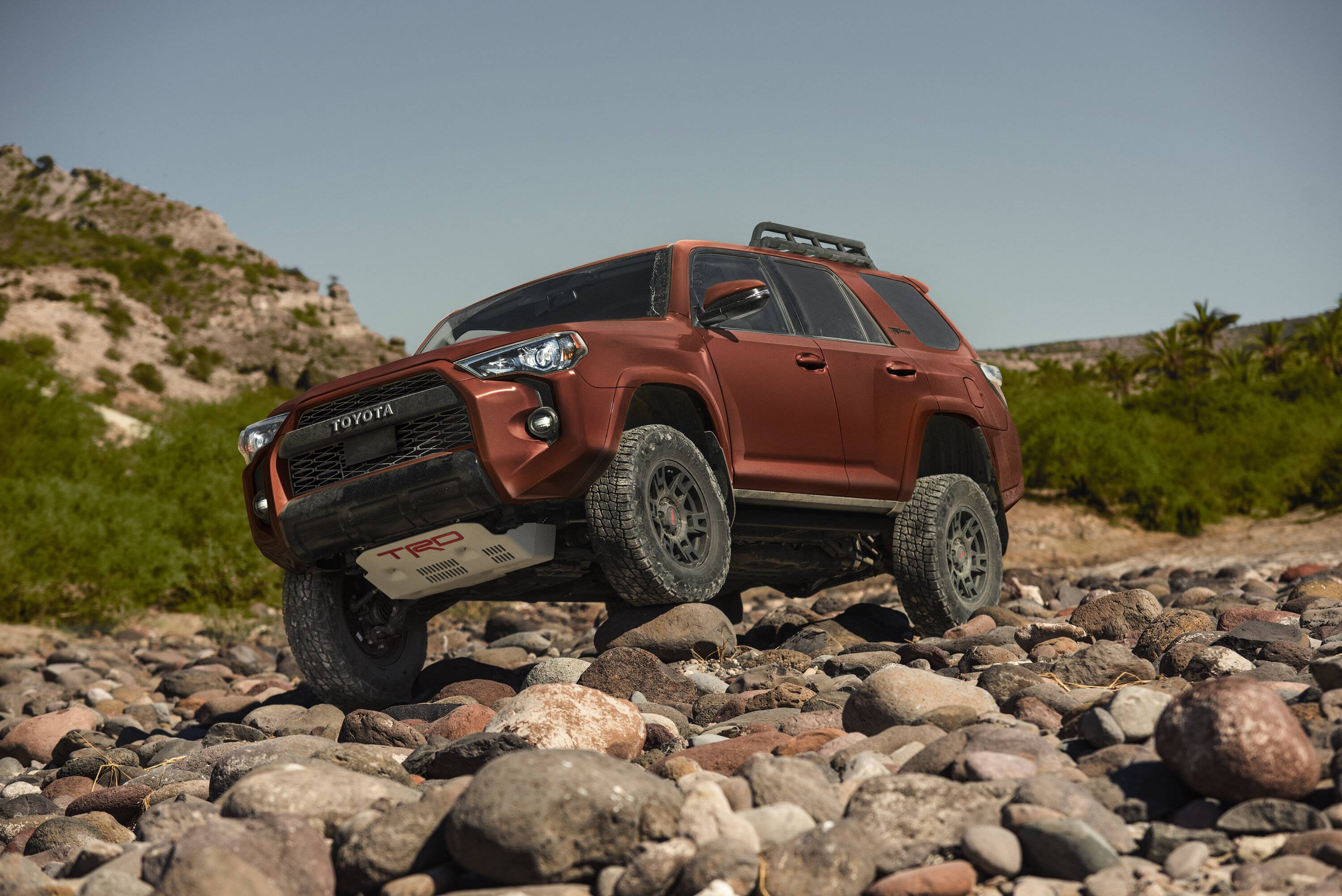 2024 Tacoma TERRA 2024 Tacoma Thread (4th Gen) terra-4runner-trd-pro-