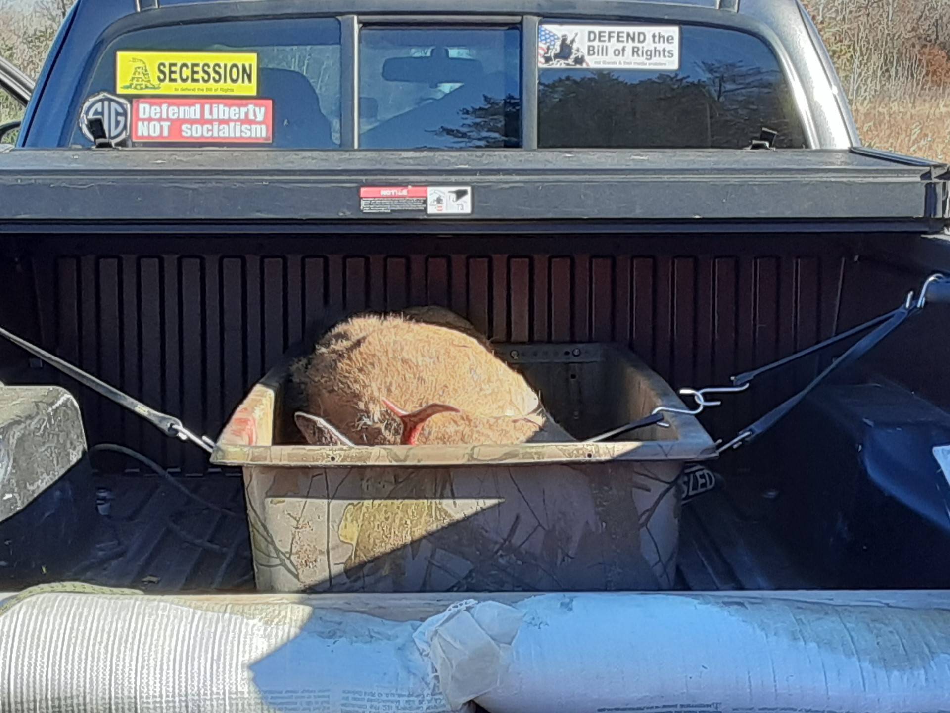 2024 Tacoma Rear Window Decals!  What's on your rear window! 📸 thumbnail_173