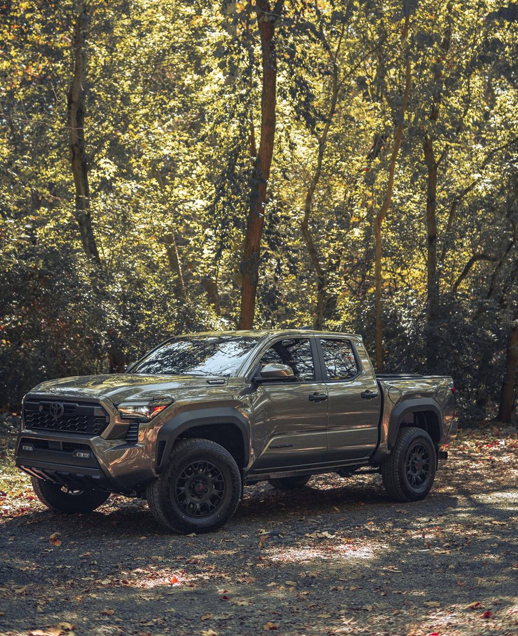 2024 Tacoma BRONZE OXIDE 2024 Tacoma Thread (4th Gen) truck in woods